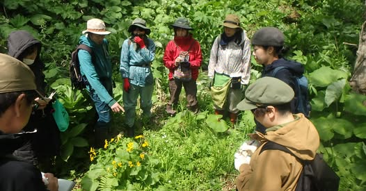 裏山トレース春